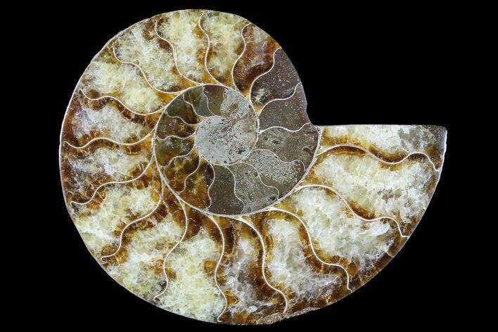 Agatized Ammonite Fossil (Half) - Madagascar #88245
